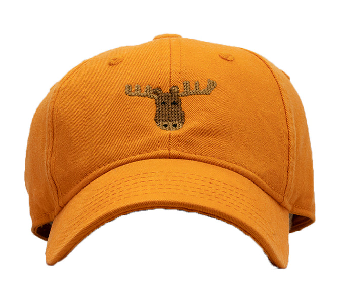 Moose on Orange Hat