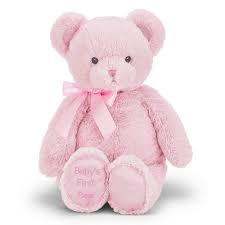 Baby's First Bear - Small Pink