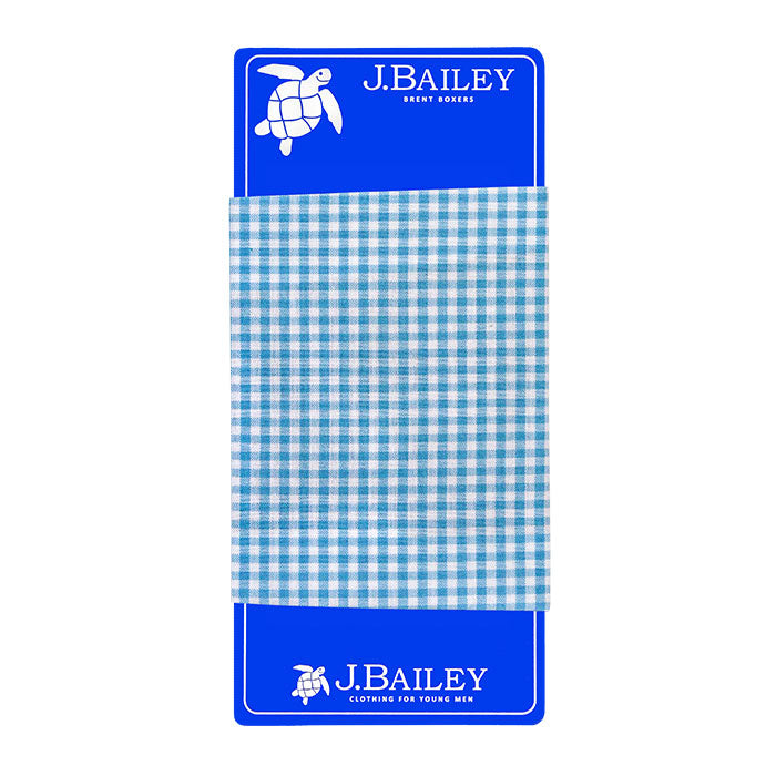 Boxers - Blue Berry Check