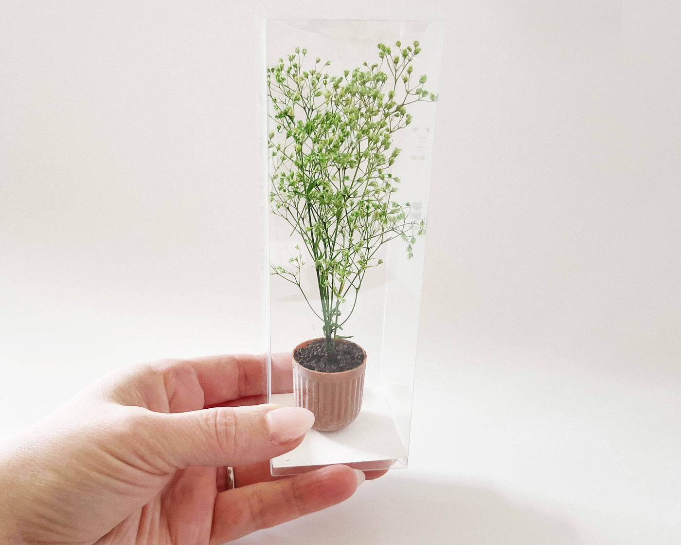 Miniature Potted Plant: Terra Cotta