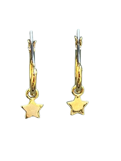 Small Gold Hoop with Star Charm Earrings