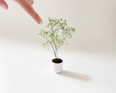 Miniature Potted Plant: Terra Cotta