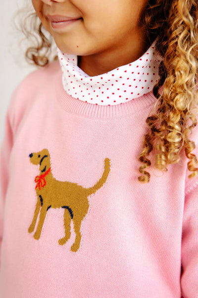 Isabelle's Intarsia Sweater HHP Dog