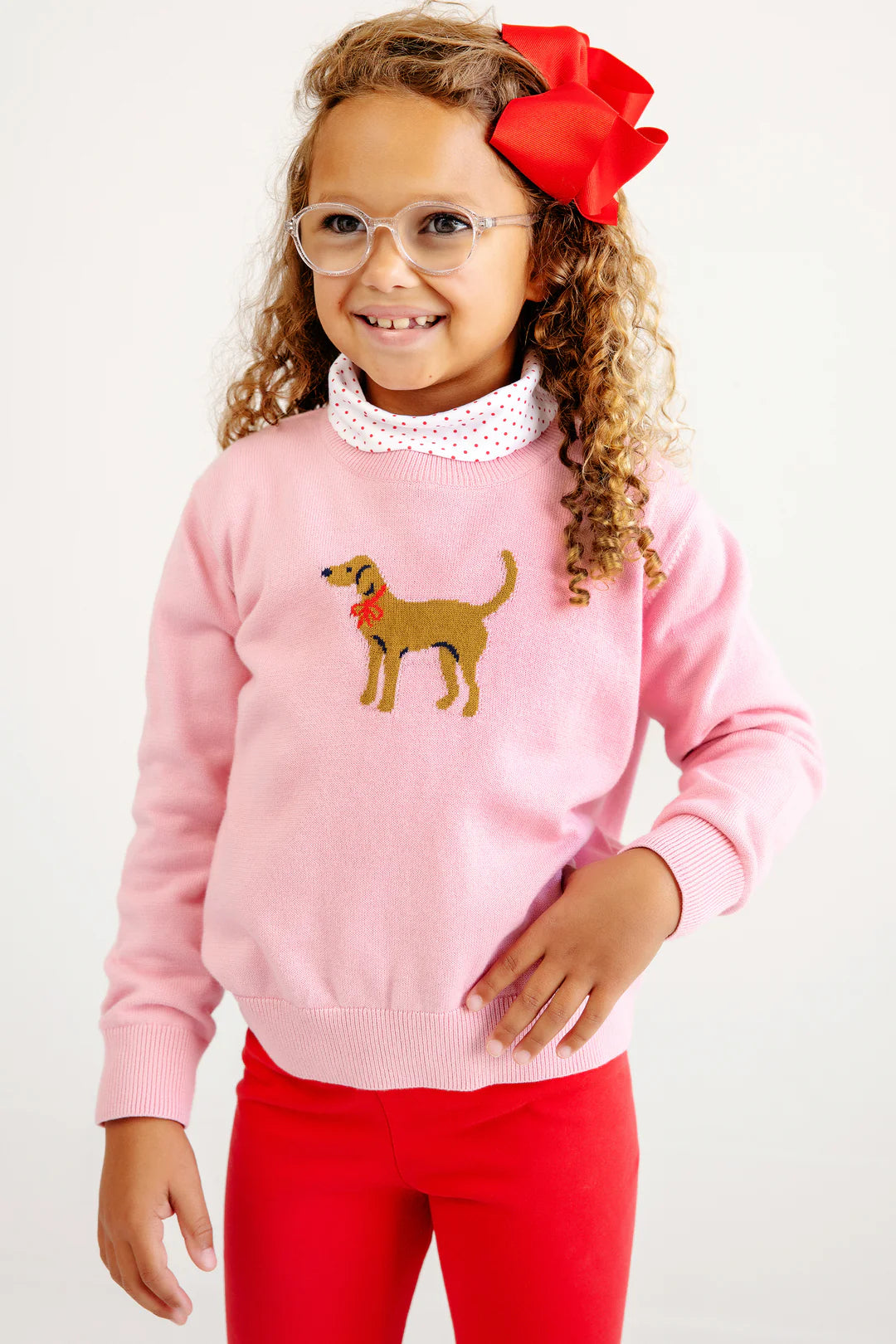 Isabelle's Intarsia Sweater HHP Dog