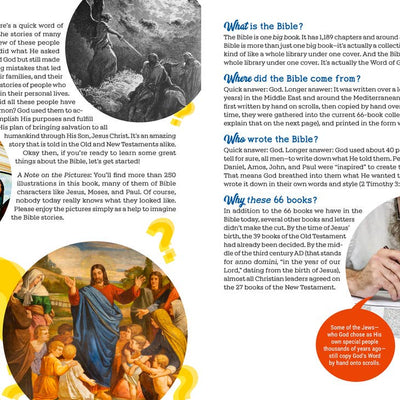 The Big Book of Bible Questions
