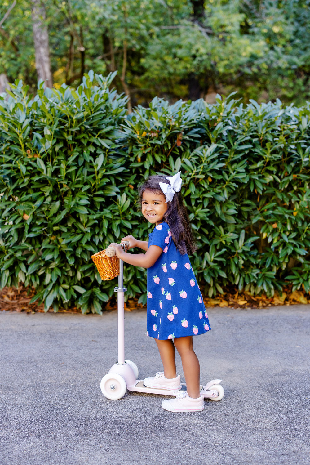 Polly Play Dress SS Sanibel Strawberry Navy