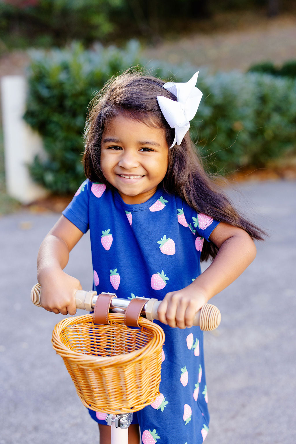 Polly Play Dress SS Sanibel Strawberry Navy