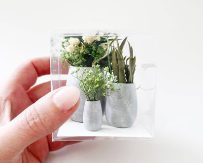 Miniature Dollhouse Plants: Set of 3