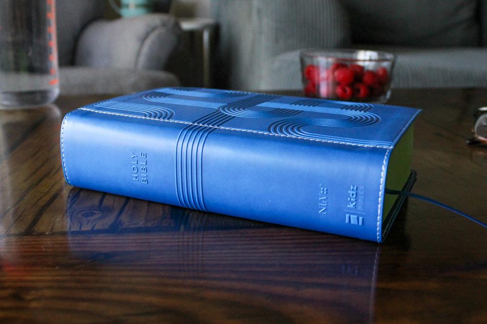 Giant Print Compact Bible for Boys