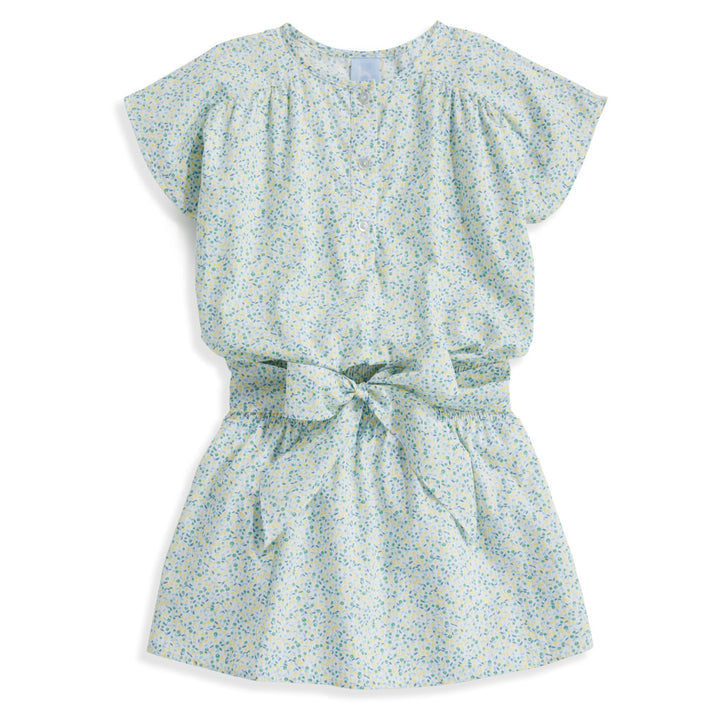 Printed Drop Waist Dress- Limon