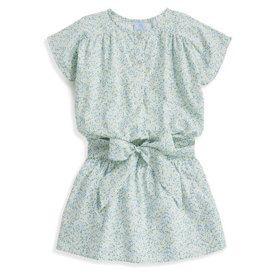 Printed Drop Waist Dress- Limon