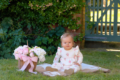 Leigh Ann Angel Sleeve Romper Nonesuch Stems