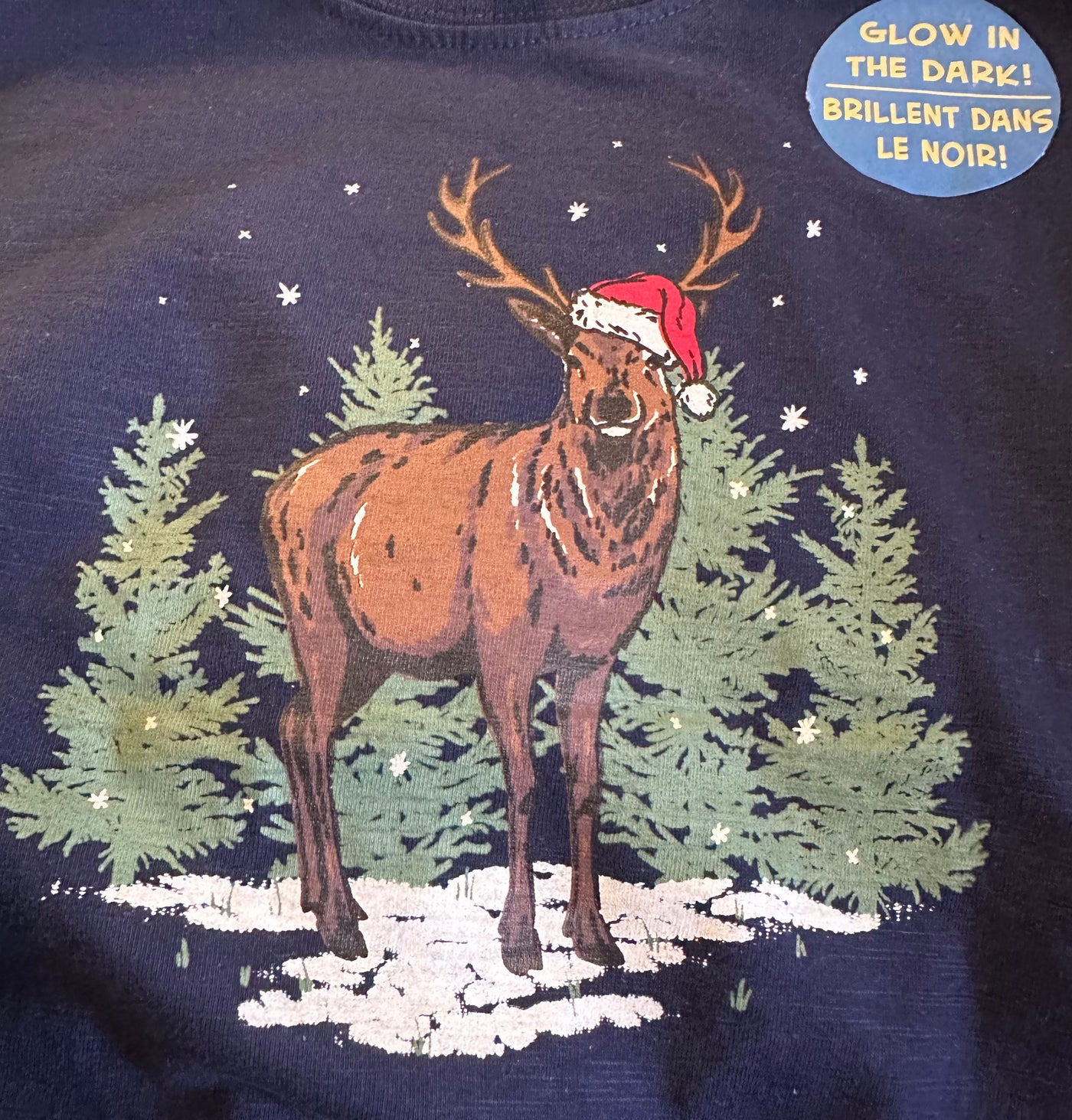 Glow in the Dark Santa Deer LS Tee