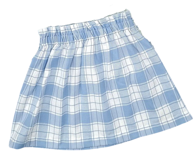 Avery Skirt Blue and White Plaid