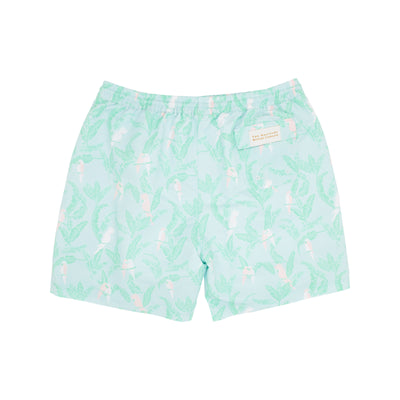 Toddy Swim Trunks Parrot Island Palms