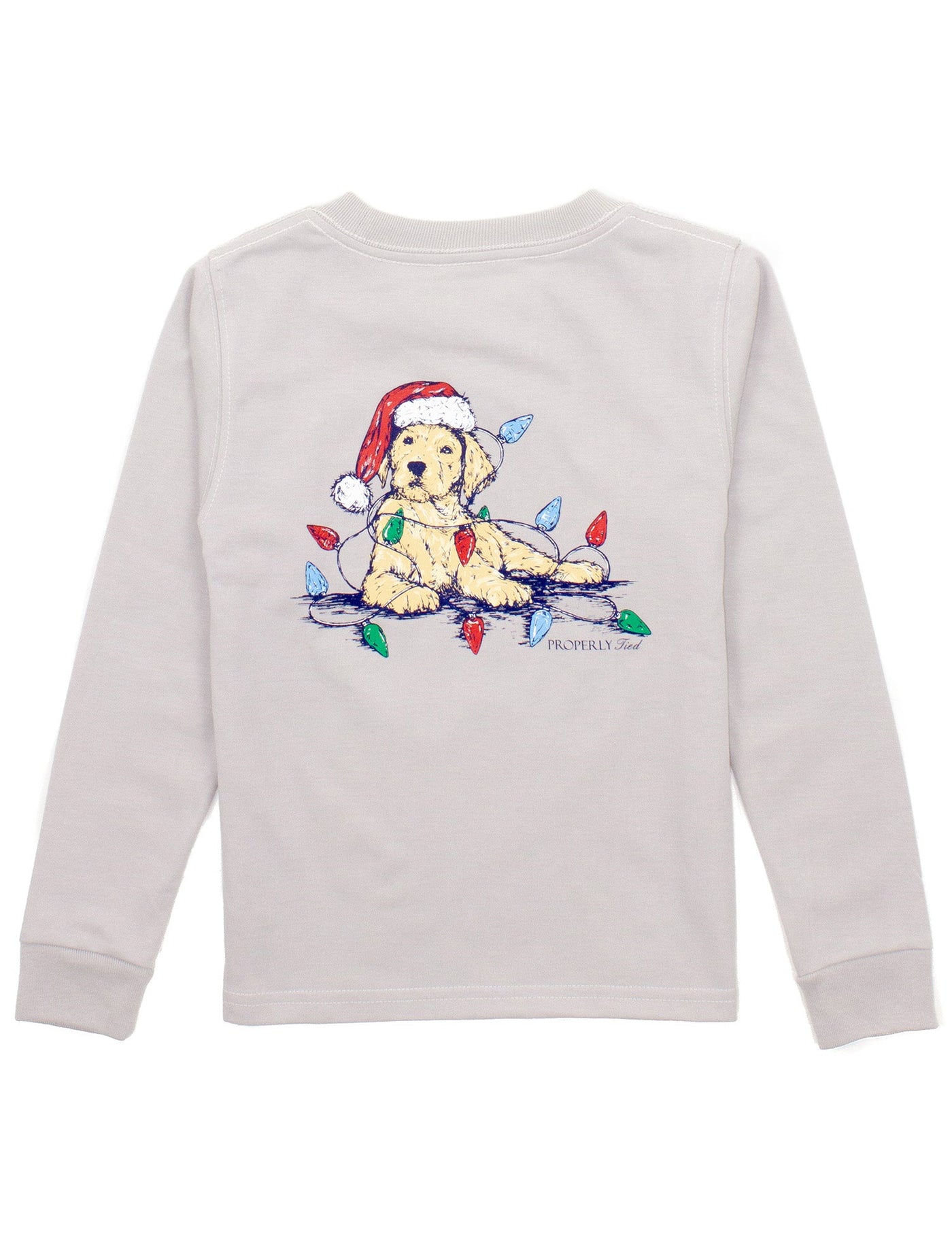 Boys Santa Paws LS in Ice Gray