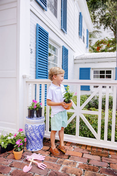 Shelton Shorts - Grafton Green Gingham