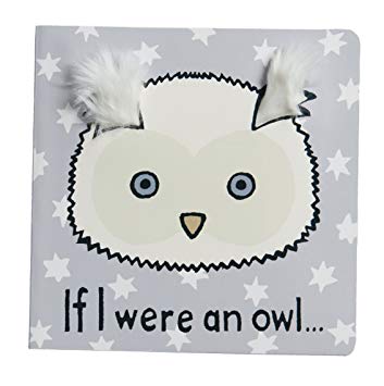 If I Were An Owl Book