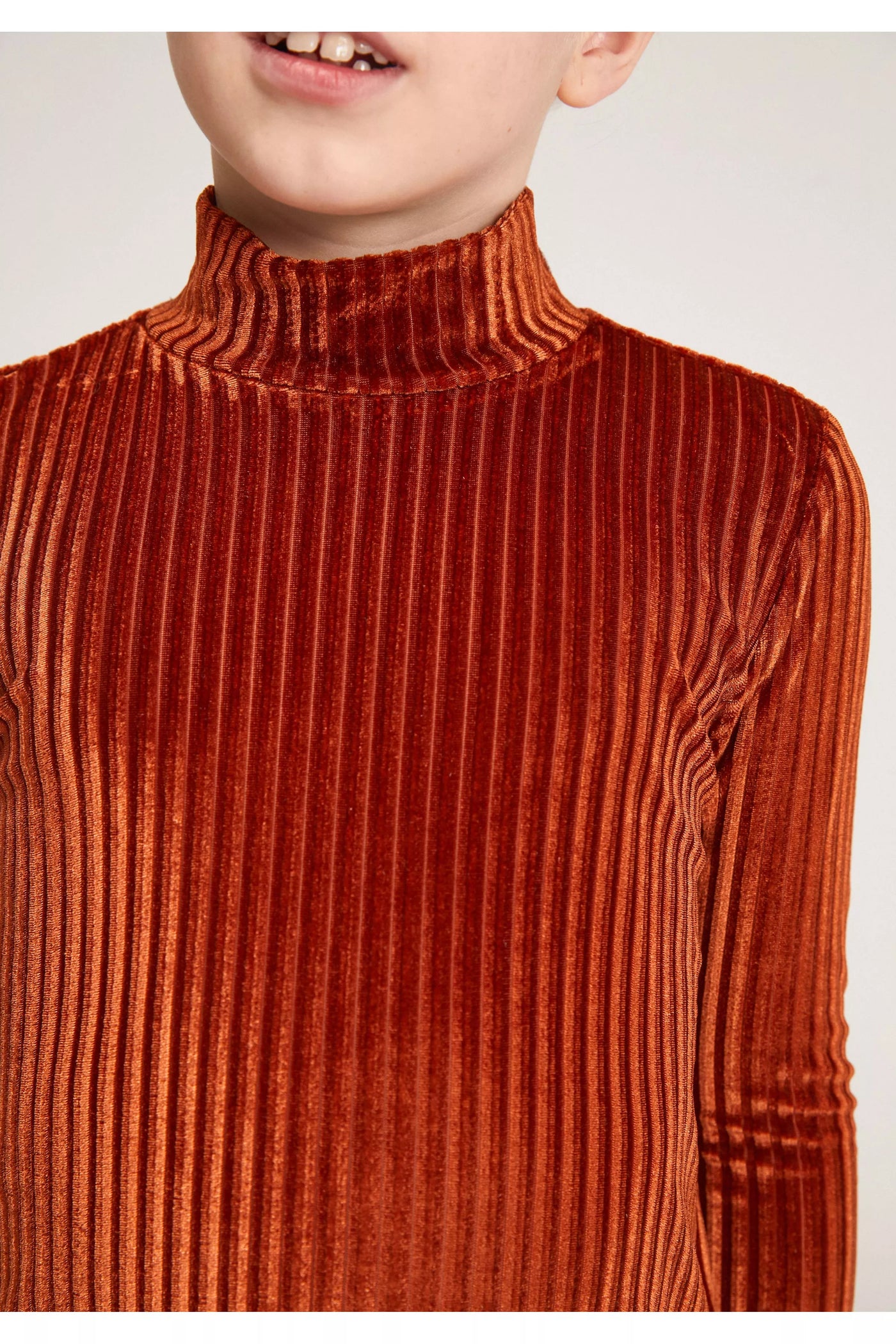 Brown Striped Velvet Top w/ High Neck