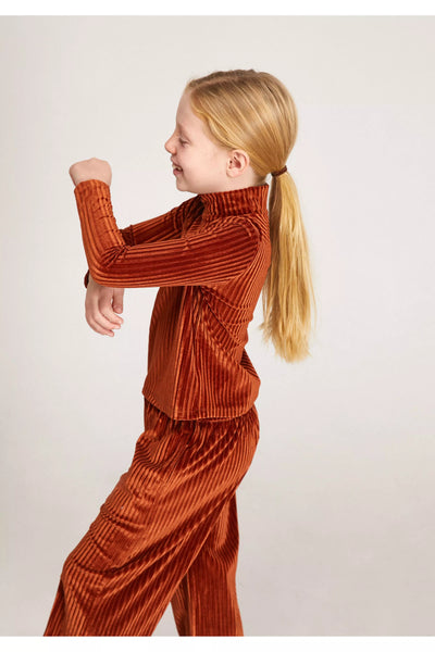 Brown Striped Velvet Top w/ High Neck