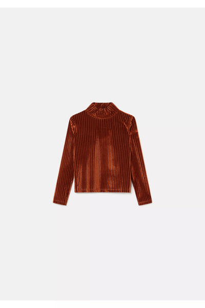 Brown Striped Velvet Top w/ High Neck